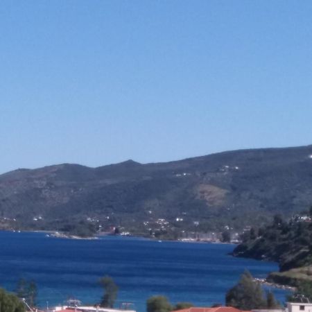Forest & Sea Apartment Poros Town Екстериор снимка
