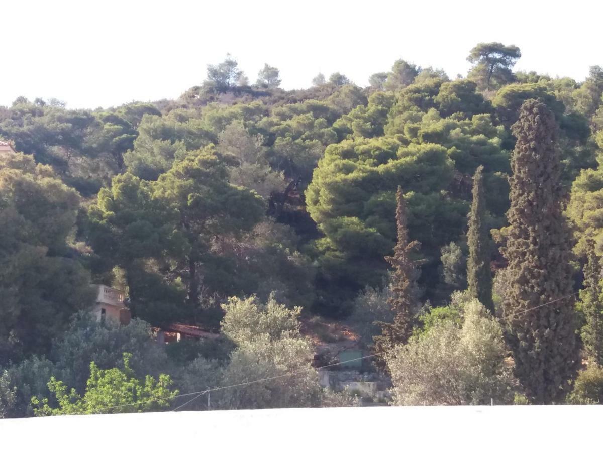 Forest & Sea Apartment Poros Town Екстериор снимка