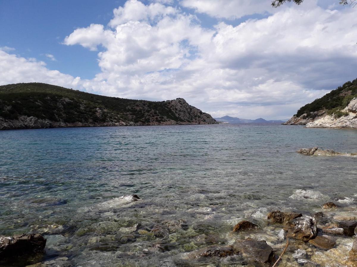 Forest & Sea Apartment Poros Town Екстериор снимка
